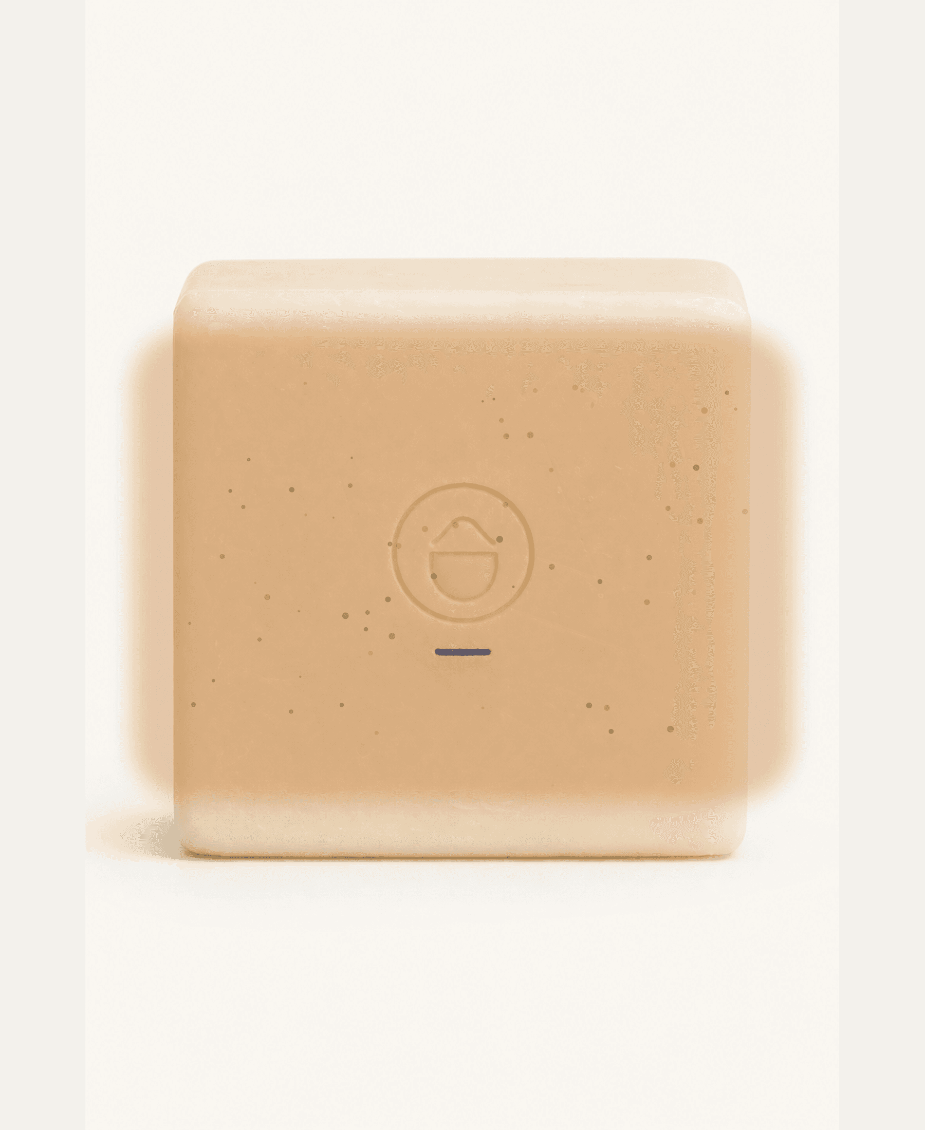 Hawai'i Ginger Soap Brick